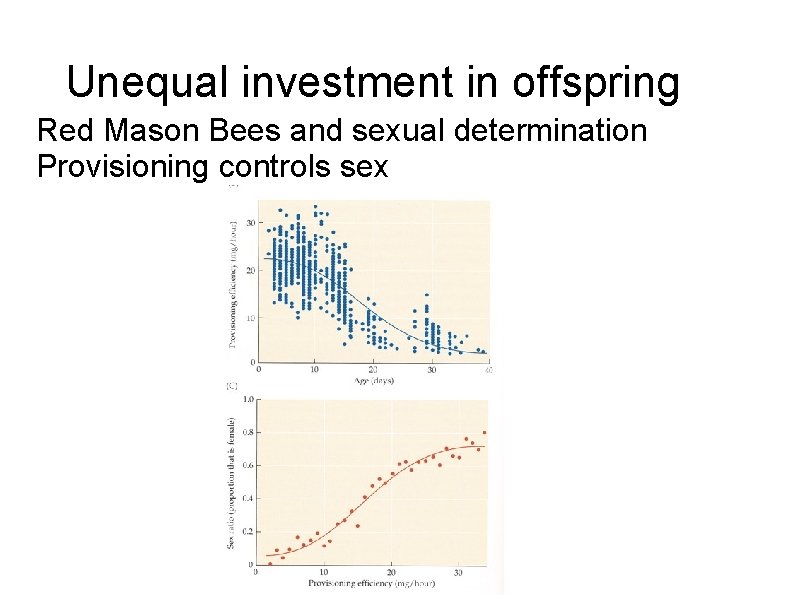 Unequal investment in offspring Red Mason Bees and sexual determination Provisioning controls sex 