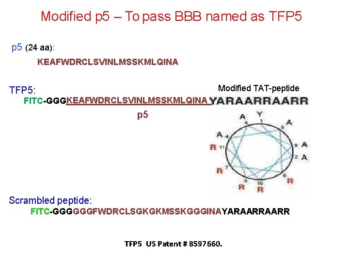 Modified p 5 – To pass BBB named as TFP 5 p 5 (24