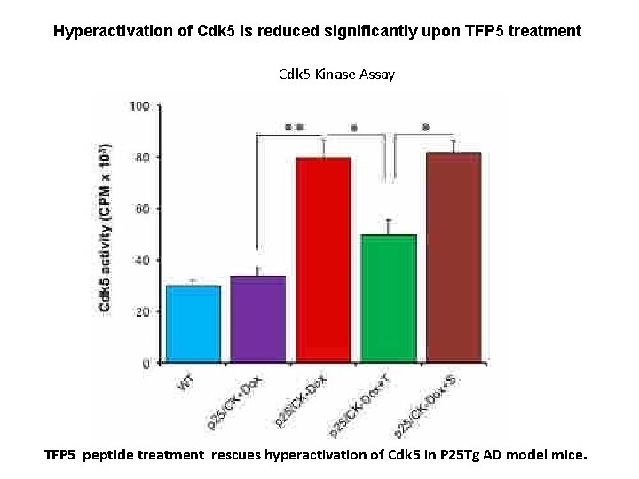Hyperactivation of Cdk 5 is reduced significantly upon TFP 5 treatment Cdk 5 Kinase