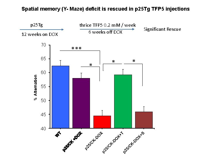 Spatial memory (Y- Maze) deficit is rescued in p 25 Tg TFP 5 injections