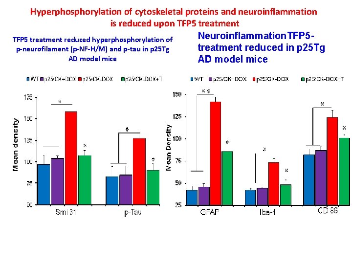 Hyperphosphorylation of cytoskeletal proteins and neuroinflammation is reduced upon TFP 5 treatment Neuroinflammation. TFP