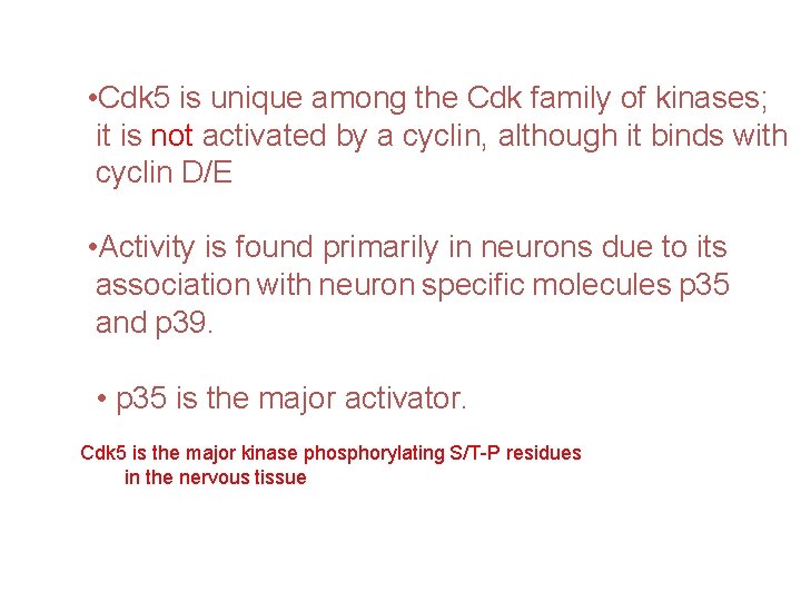  • Cdk 5 is unique among the Cdk family of kinases; it is