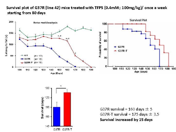 Survival plot of G 37 R (line 42) mice treated with TFP 5 (0.