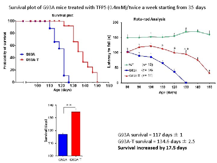 Survival plot of G 93 A mice treated with TFP 5 (0. 4 m.