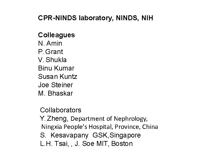 CPR-NINDS laboratory, NINDS, NIH Colleagues N. Amin P. Grant V. Shukla Binu Kumar Susan