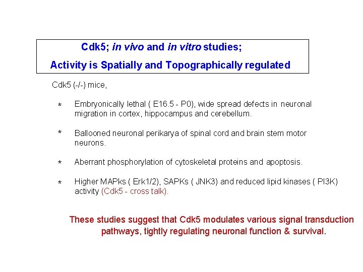 Cdk 5; in vivo and in vitro studies; Activity is Spatially and Topographically regulated