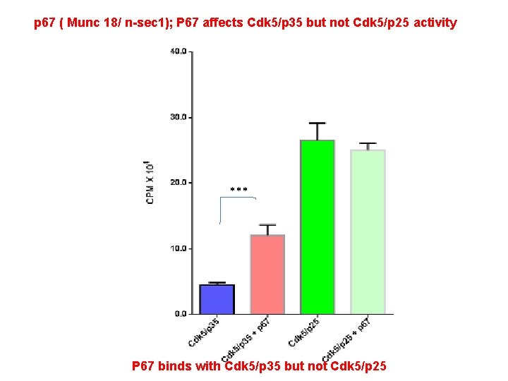 p 67 ( Munc 18/ n-sec 1); P 67 affects Cdk 5/p 35 but