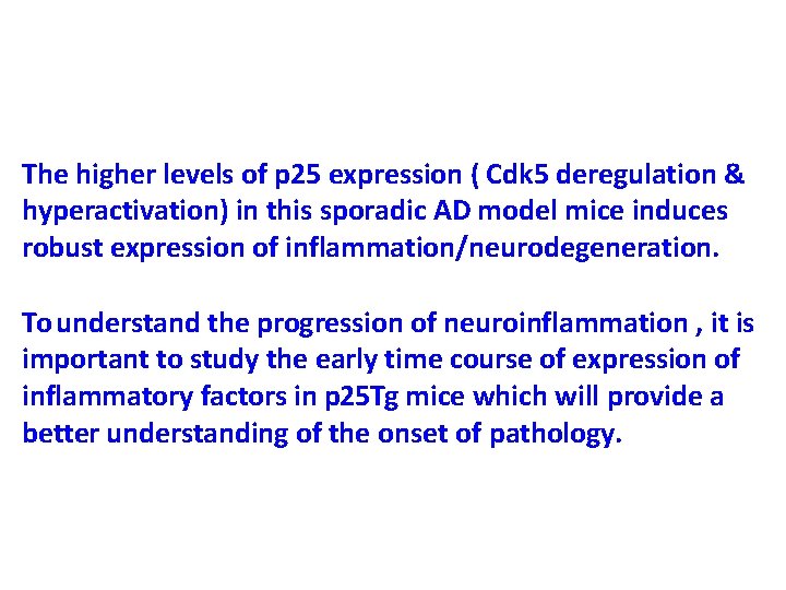 The higher levels of p 25 expression ( Cdk 5 deregulation & hyperactivation) in