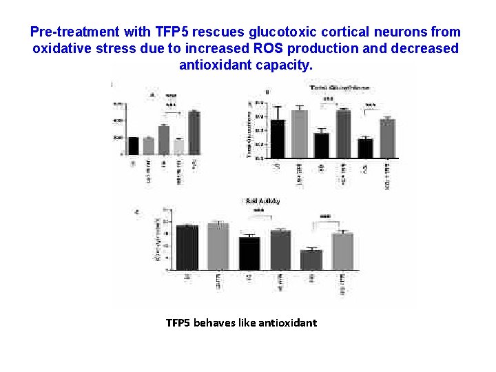 Pre-treatment with TFP 5 rescues glucotoxic cortical neurons from oxidative stress due to increased