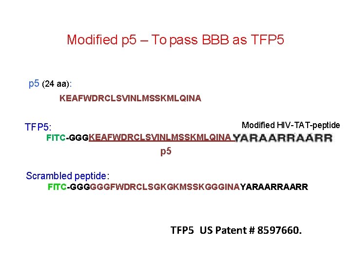 Modified p 5 – To pass BBB as TFP 5 p 5 (24 aa):