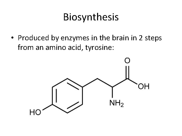 Biosynthesis • Produced by enzymes in the brain in 2 steps from an amino