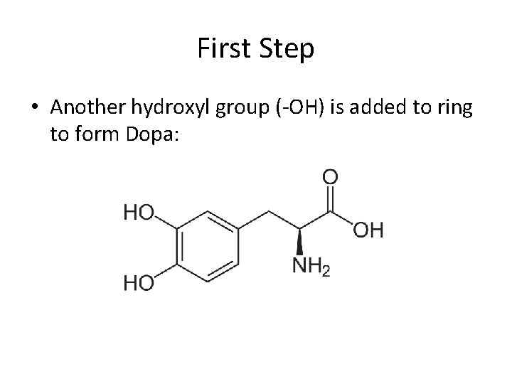 First Step • Another hydroxyl group (-OH) is added to ring to form Dopa: