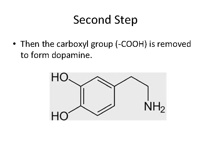 Second Step • Then the carboxyl group (-COOH) is removed to form dopamine. 