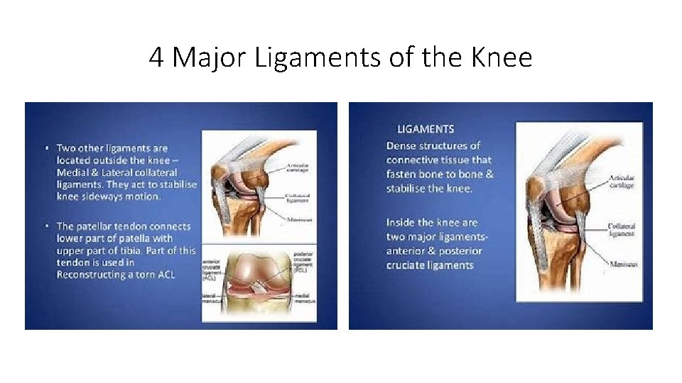 4 Major Ligaments of the Knee 