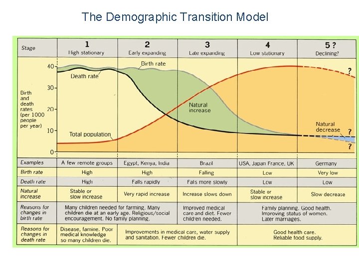 The Demographic Transition Model 