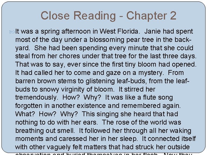Close Reading - Chapter 2 It was a spring afternoon in West Florida. Janie