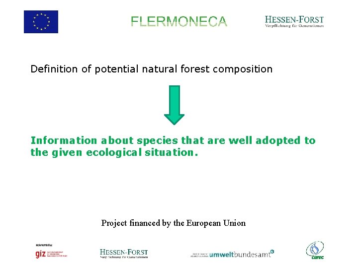 Definition of potential natural forest composition Information about species that are well adopted to
