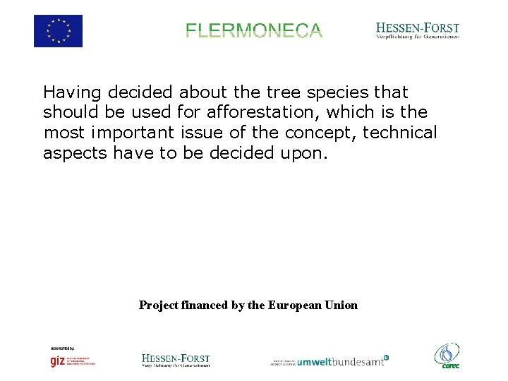 Having decided about the tree species that should be used for afforestation, which is