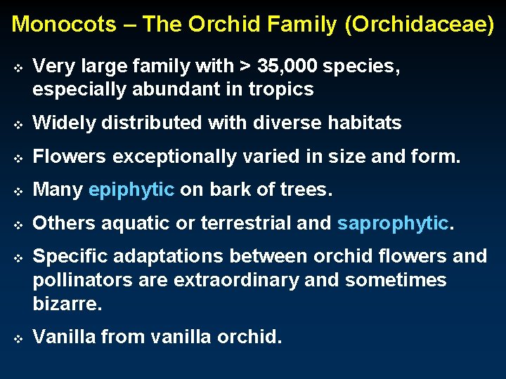 Monocots – The Orchid Family (Orchidaceae) v Very large family with > 35, 000