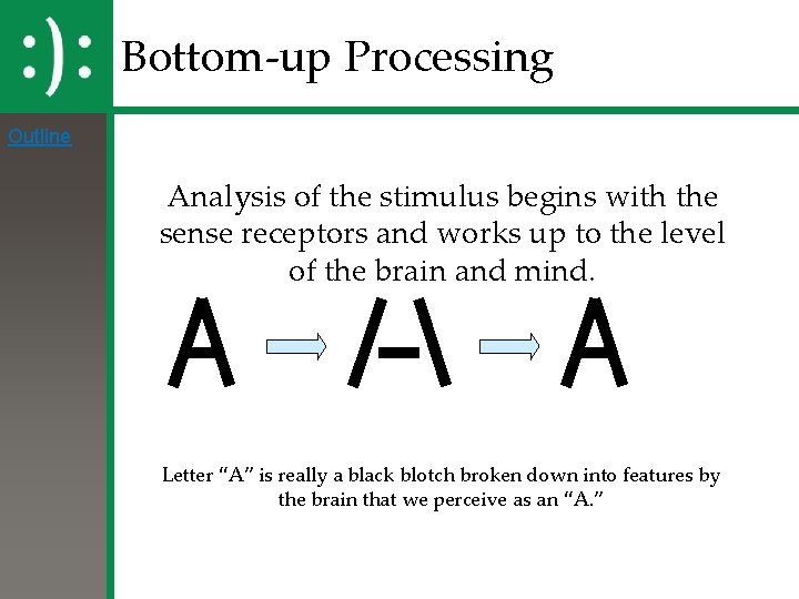 Bottom-up Processing Outline Analysis of the stimulus begins with the sense receptors and works