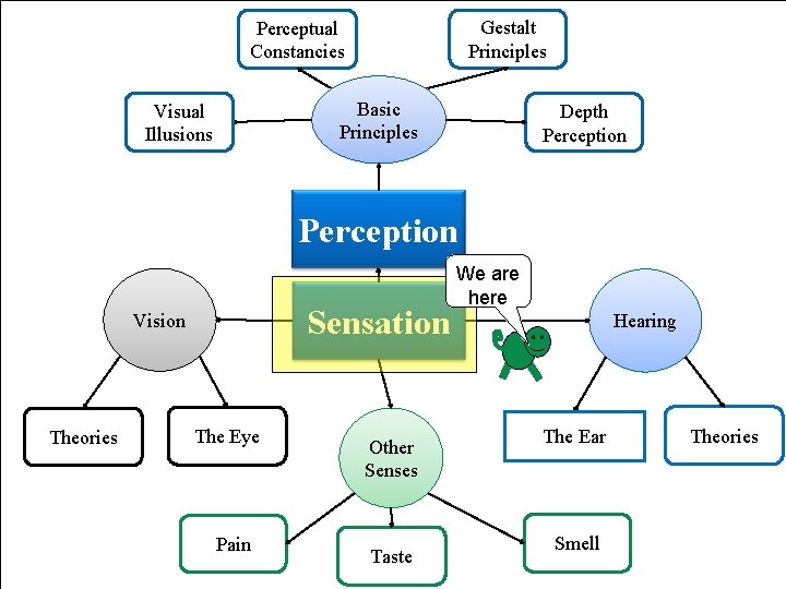 Gestalt Principles Perceptual Constancies Basic Principles Visual Illusions Depth Perception Sensation Vision Theories The Gestalt Principles Perceptual Constancies Basic Principles Visual Illusions Depth Perception Sensation Vision Theories The