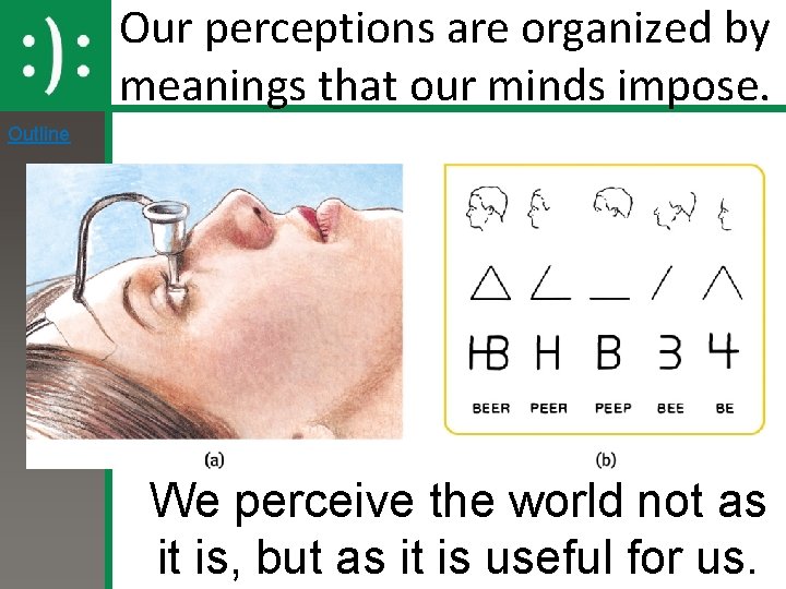 Our perceptions are organized by meanings that our minds impose. Outline We perceive the