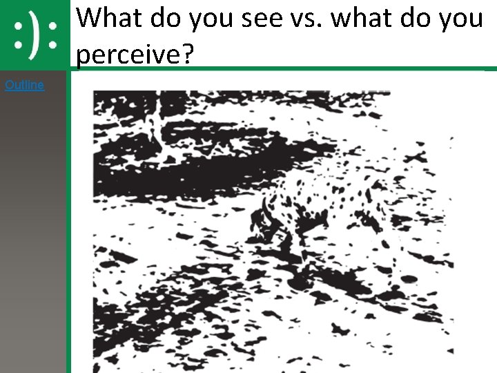 What do you see vs. what do you perceive? Outline 