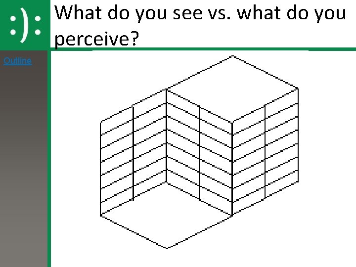 What do you see vs. what do you perceive? Outline 