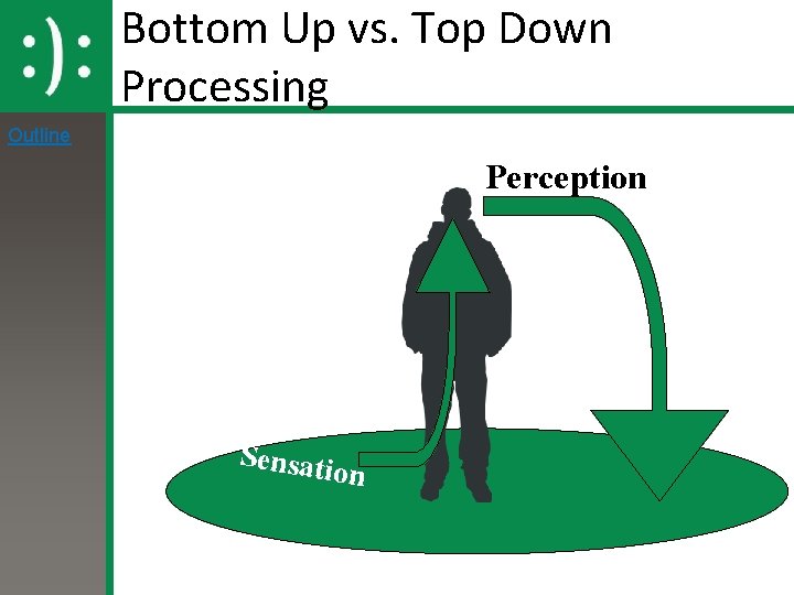 Bottom Up vs. Top Down Processing Outline Perception Sensati on 