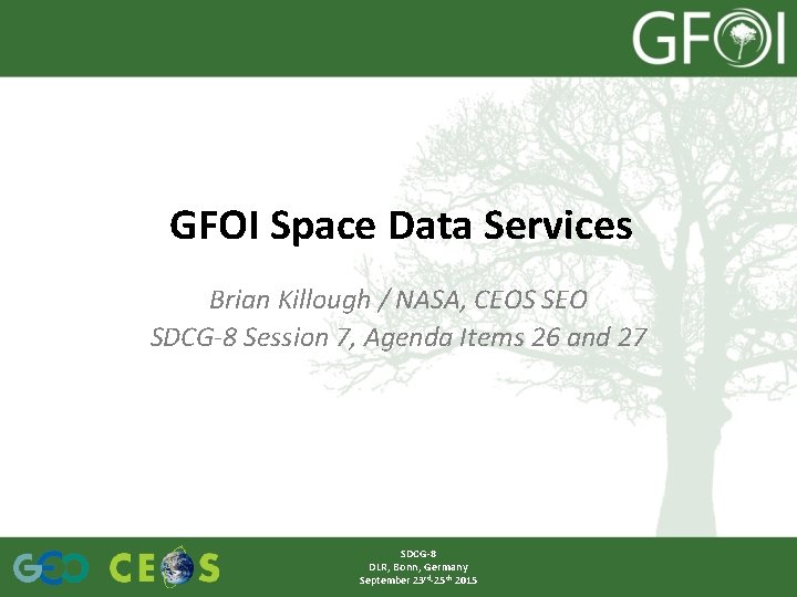 GFOI Space Data Services Brian Killough / NASA, CEOS SEO SDCG-8 Session 7, Agenda