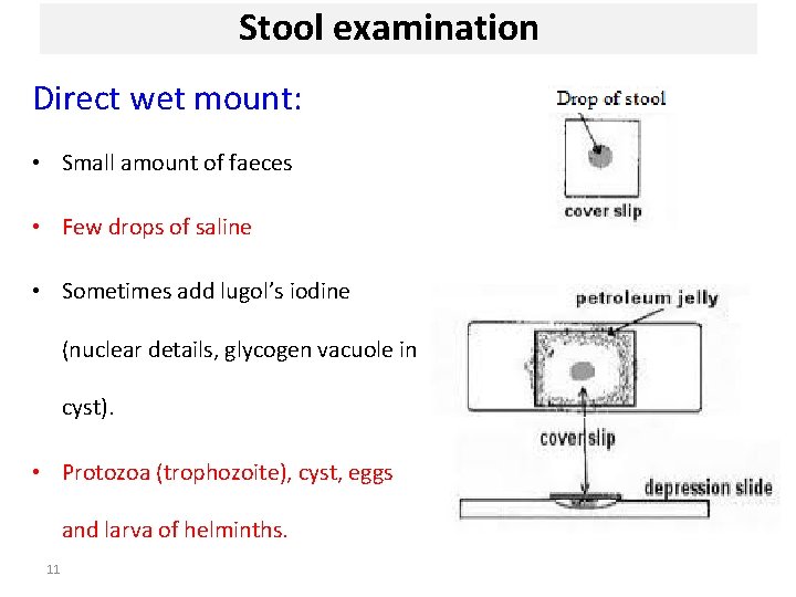 Stool examination Direct wet mount: • Small amount of faeces • Few drops of