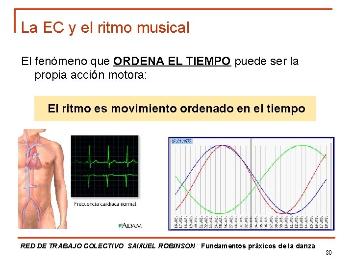 La EC y el ritmo musical El fenómeno que ORDENA EL TIEMPO puede ser