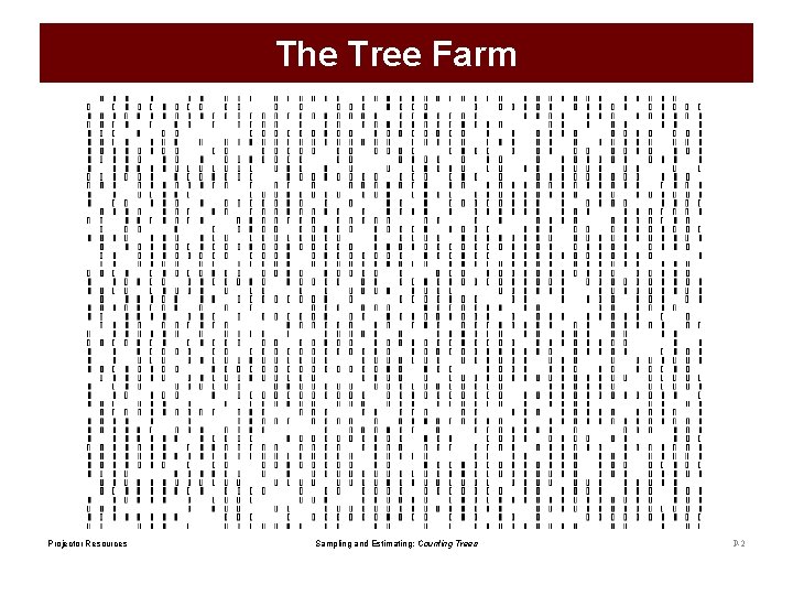 The Tree Farm Projector Resources Sampling and Estimating: Counting Trees P-2 