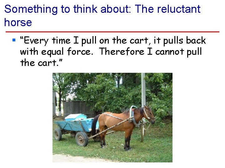 Something to think about: The reluctant horse § “Every time I pull on the
