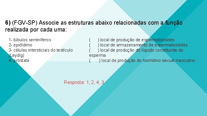 6) (FGV-SP) Associe as estruturas abaixo relacionadas com a função realizada por cada uma: