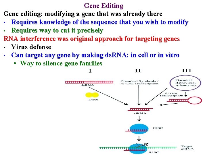 Gene Editing Gene editing: modifying a gene that was already there • Requires knowledge