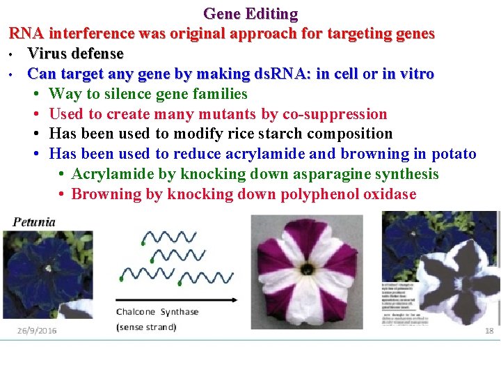 Gene Editing RNA interference was original approach for targeting genes • Virus defense •