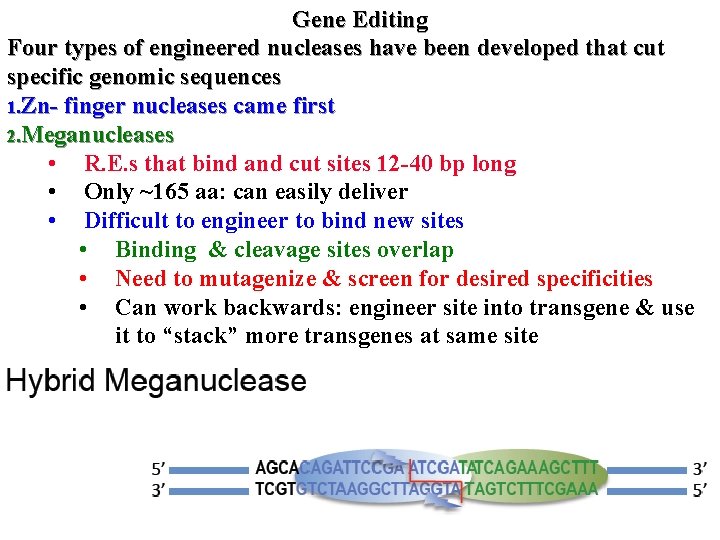 Gene Editing Four types of engineered nucleases have been developed that cut specific genomic