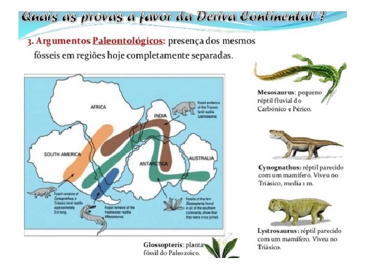 Teoria da Deriva Continental. 