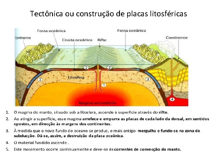 Tectônica ou construção de placas litosféricas 