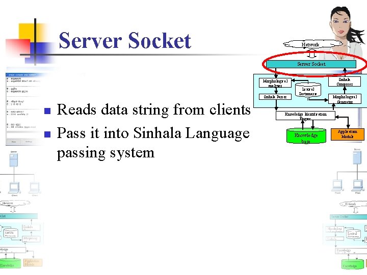 Server Socket Network Server Socket Morphological analyzer Sinhala Parser n n Reads data string