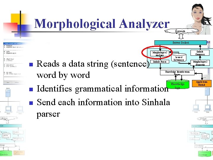 Morphological Analyzer Network Server Socket Morphological analyzer n Reads a data string (sentence) word