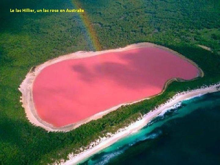 Le lac Hillier, un lac rose en Australie 