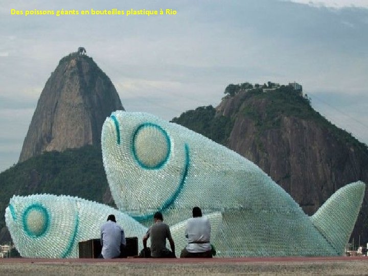 Des poissons géants en bouteilles plastique à Rio 