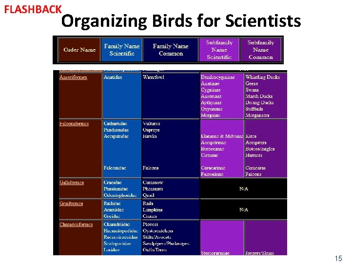 Organizing Birds for Scientists 15 