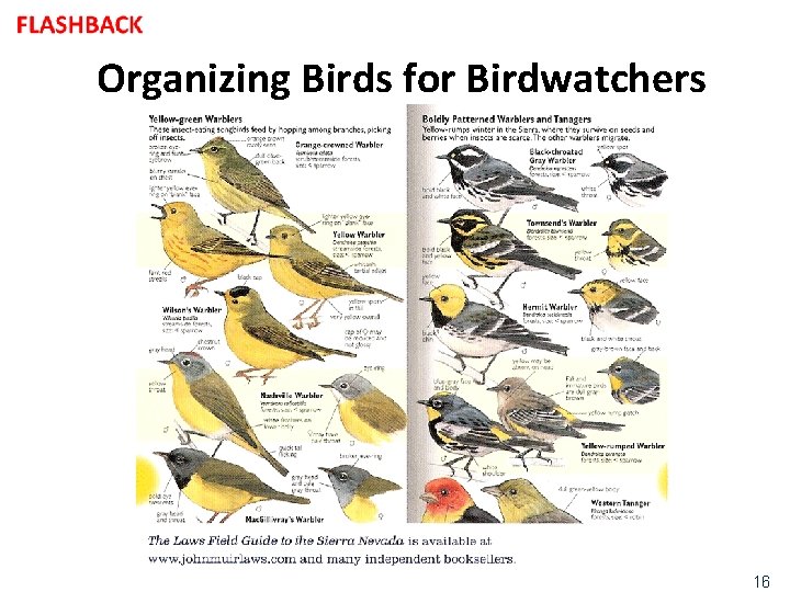 Organizing Birds for Birdwatchers 16 