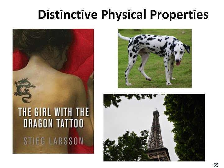Distinctive Physical Properties 55 