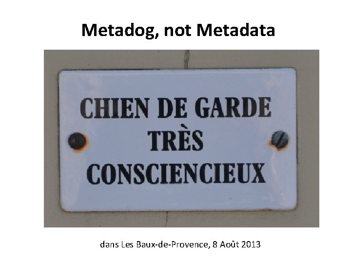 Metadog, not Metadata dans Les Baux-de-Provence, 8 Août 2013 