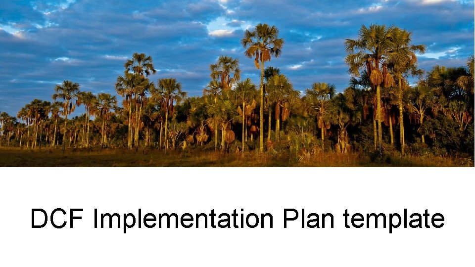 DCF Implementation Plan template 