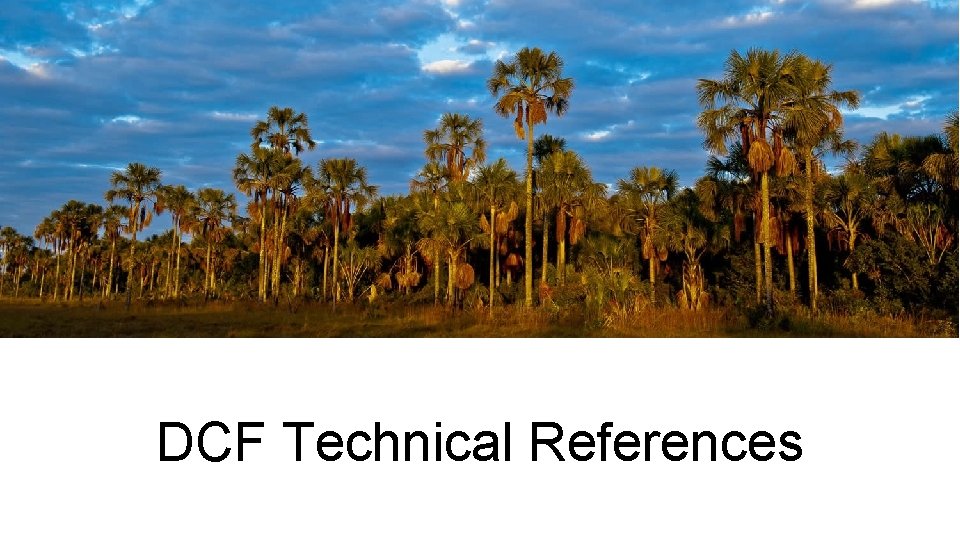 DCF Technical References 
